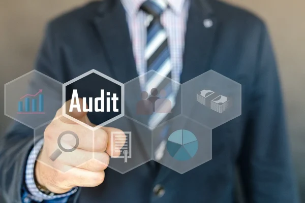 mayaICT audit